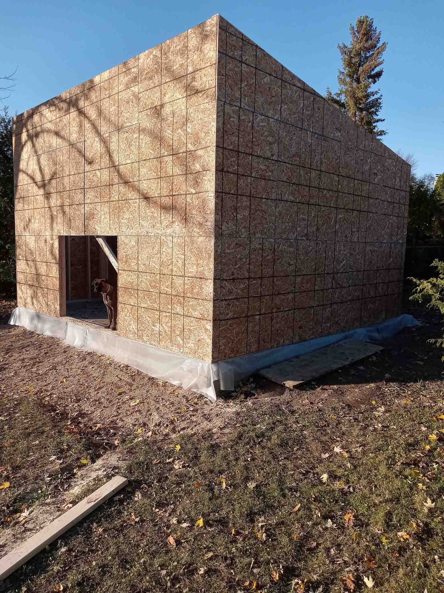 Bunkies • Backyard Home Office