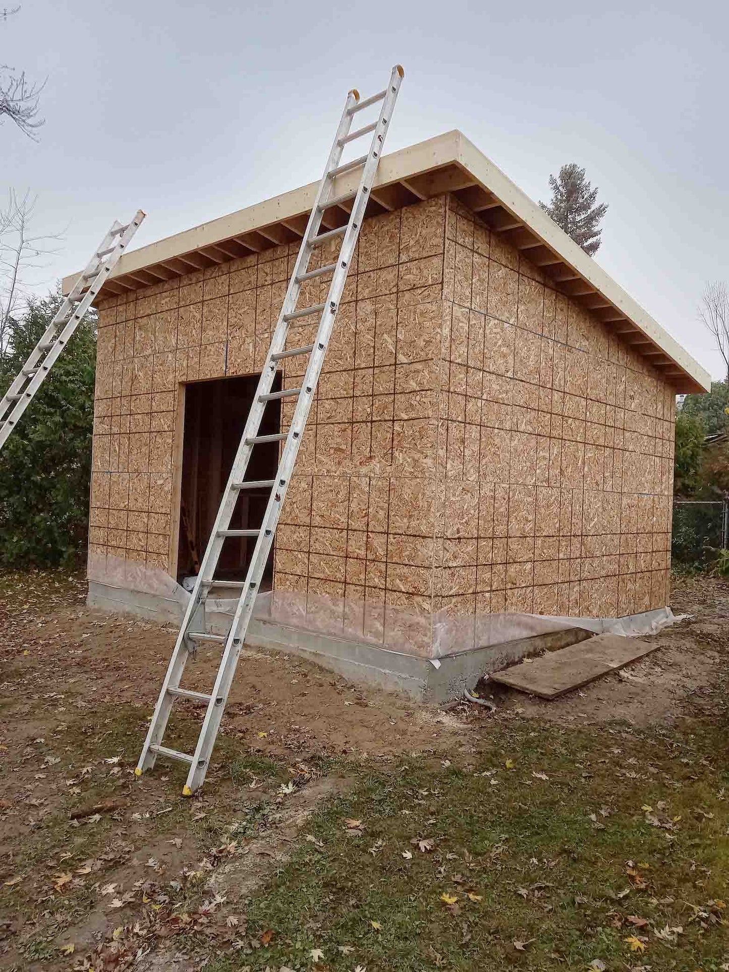 Bunkies • Backyard Home Office