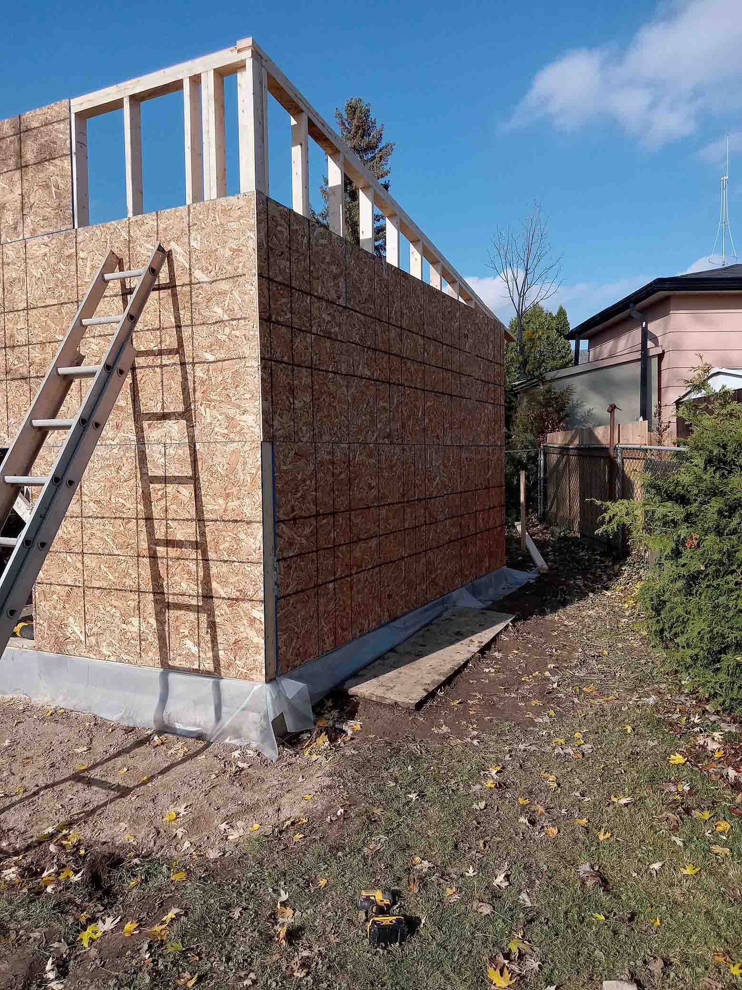 Bunkies • Backyard Home Office