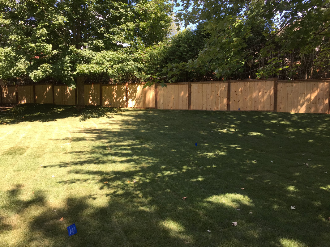 Perimeter Fencing