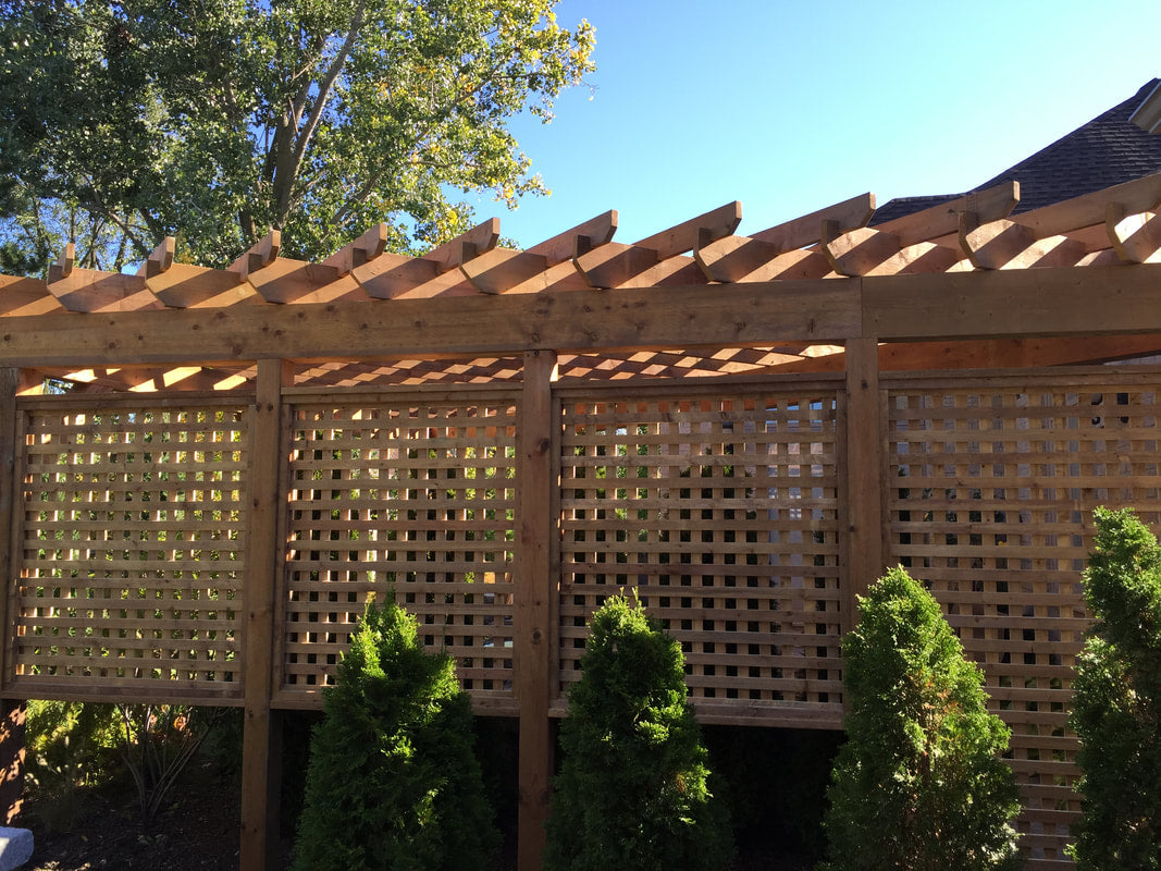 Pergolas and Privacy