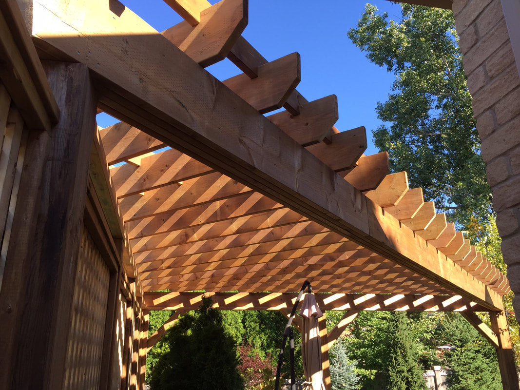 Pergolas and Privacy