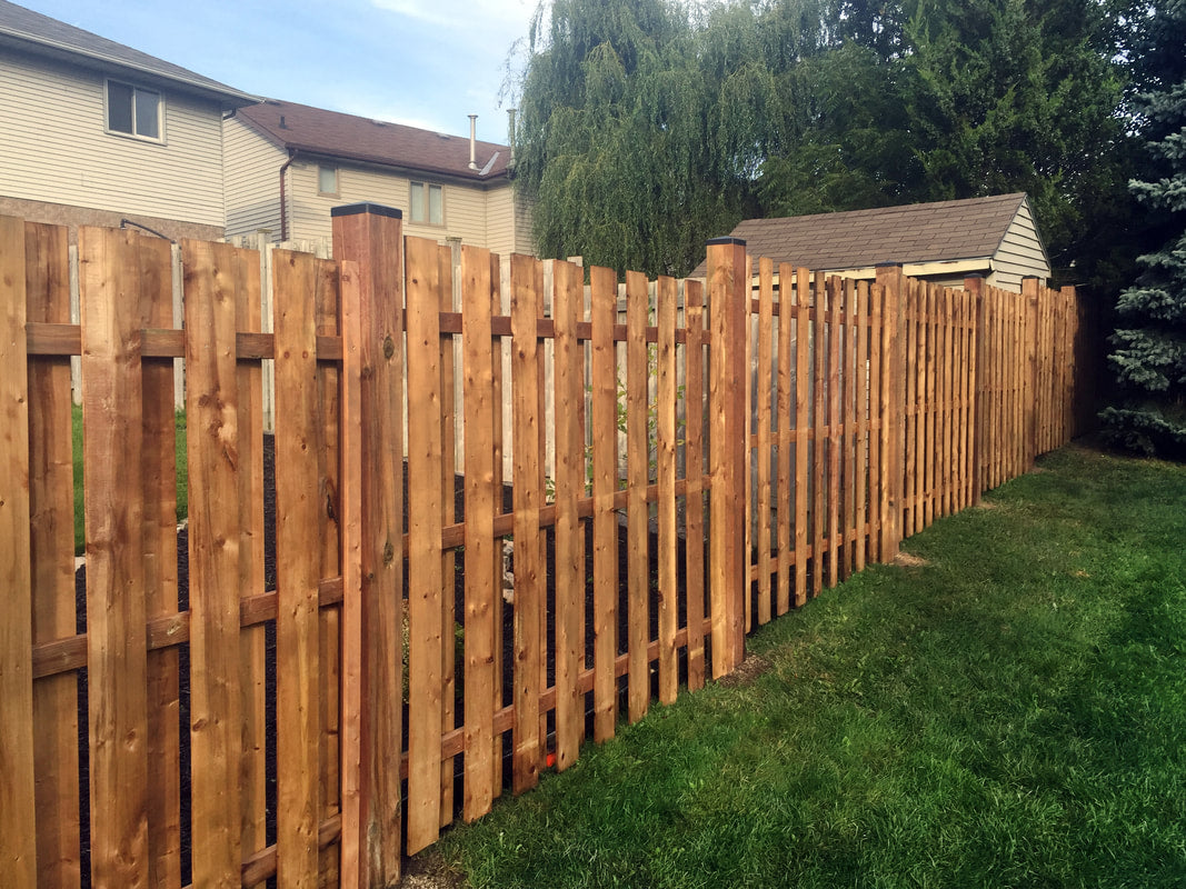 Backyard Property Fence